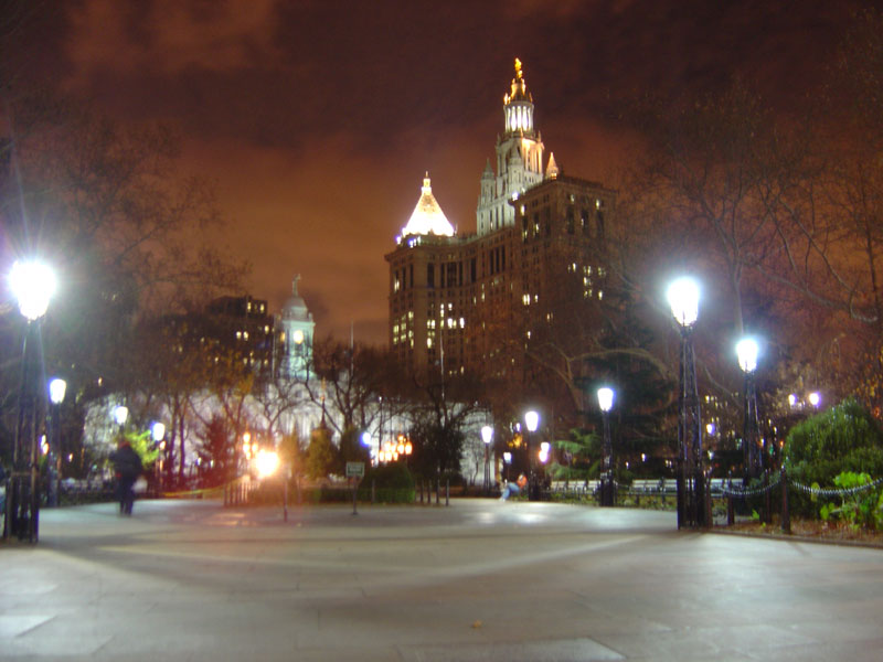 New York City Hall - 26/11/2004 18:32